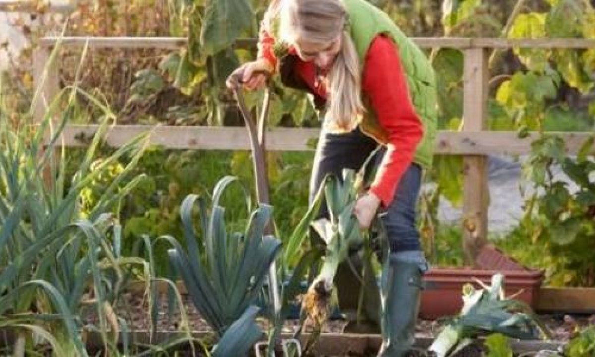 Mese Di Gennaio Semina Raccolto E Lavori Nell Orto Greenme