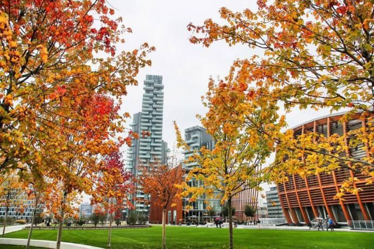 Biblioteca degli alberi: ha aperto il nuovo parco delle meraviglie di Milano - greenMe