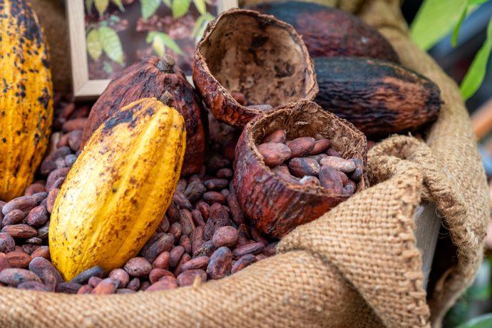Buccia cacao compost