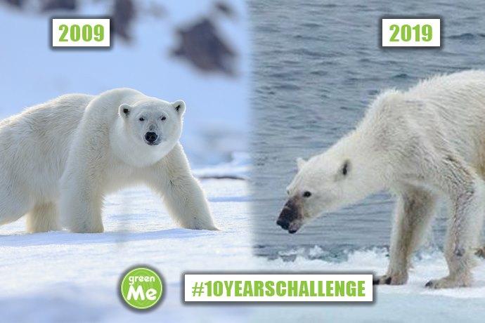 10 years challenge ambiente