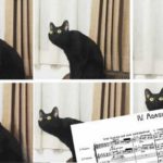 gatto Mahler