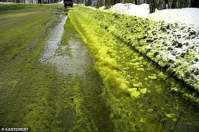 neve verde