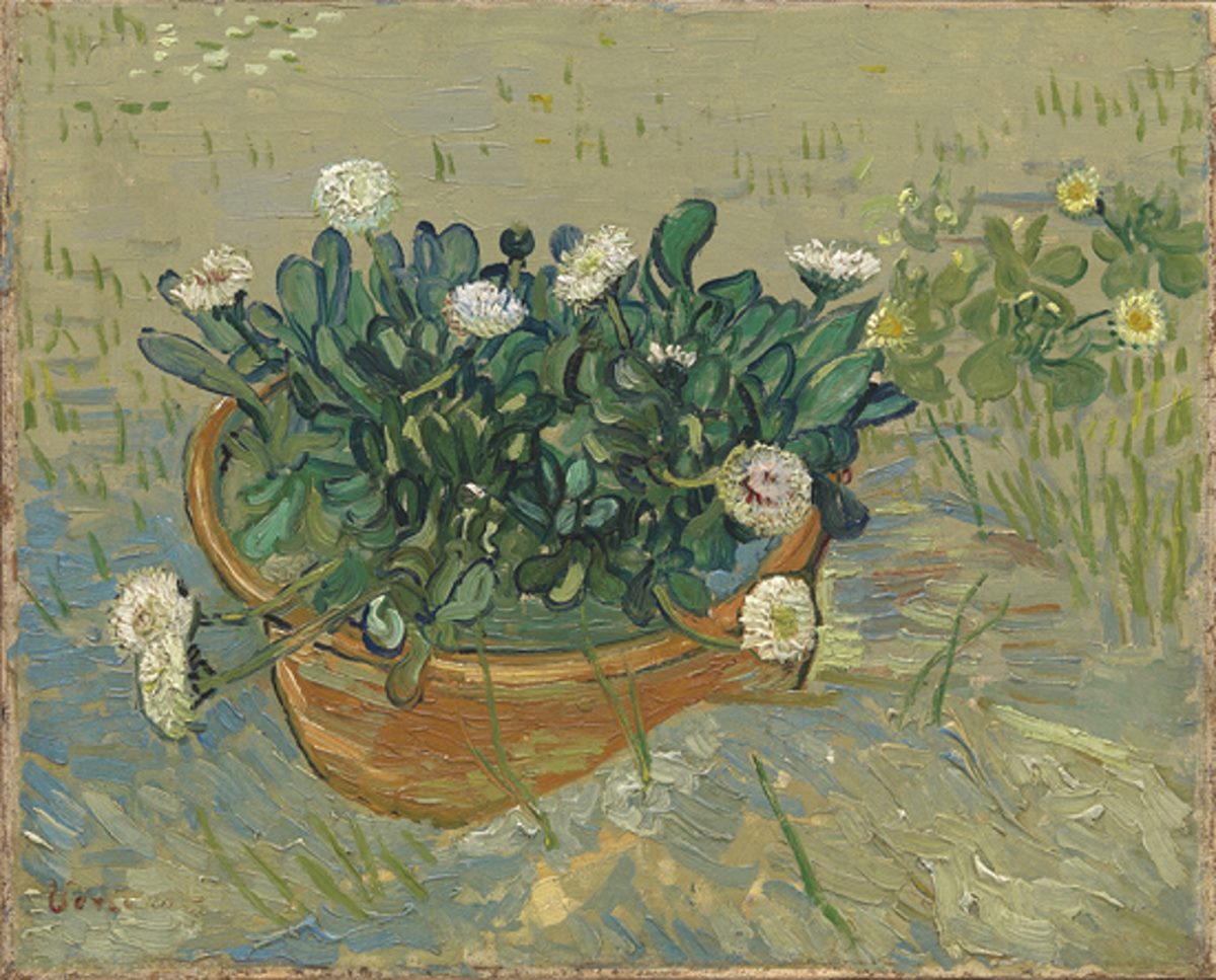 Van Gogh Margherite