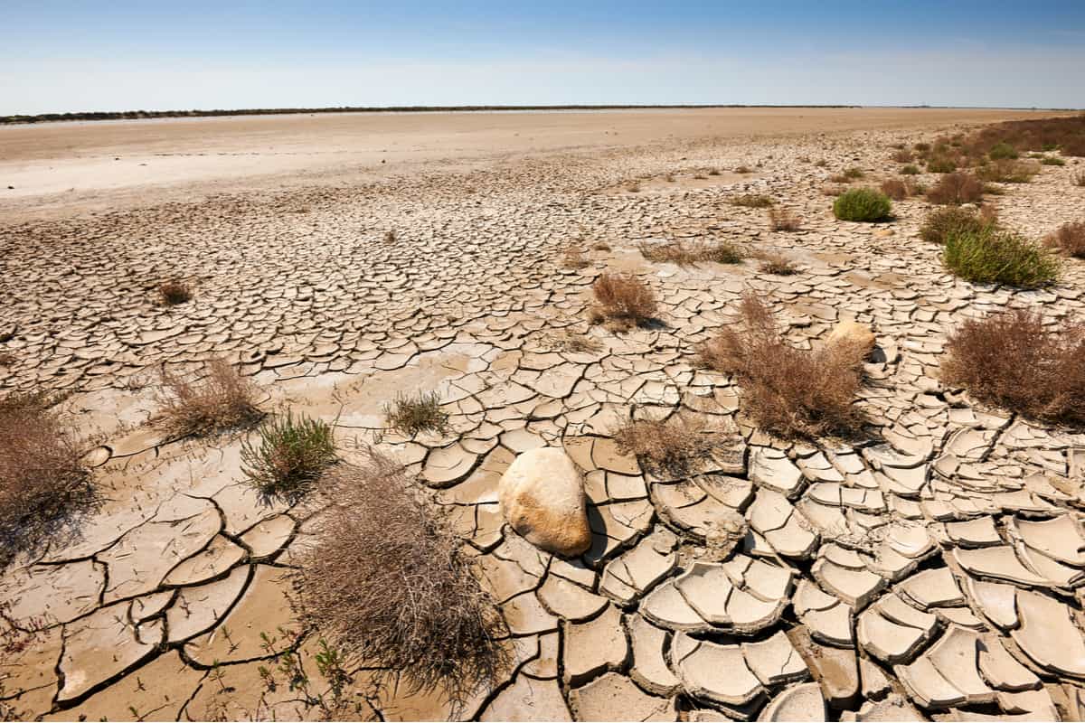 apartheid clima