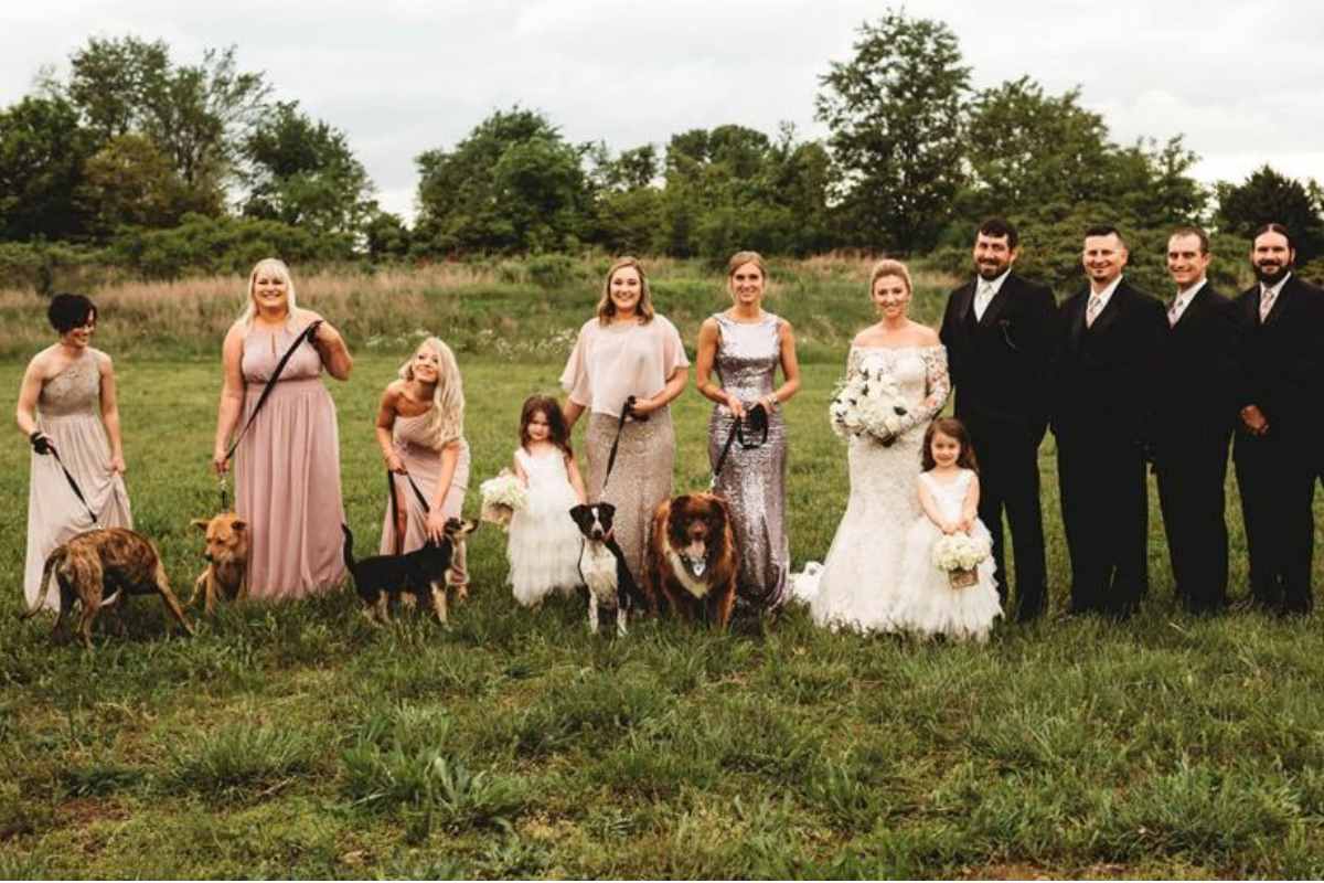 adozione cani matrimono