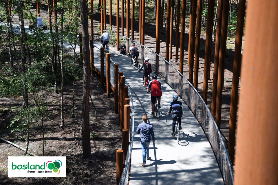 Pista ciclabile tra i boschi in Belgio