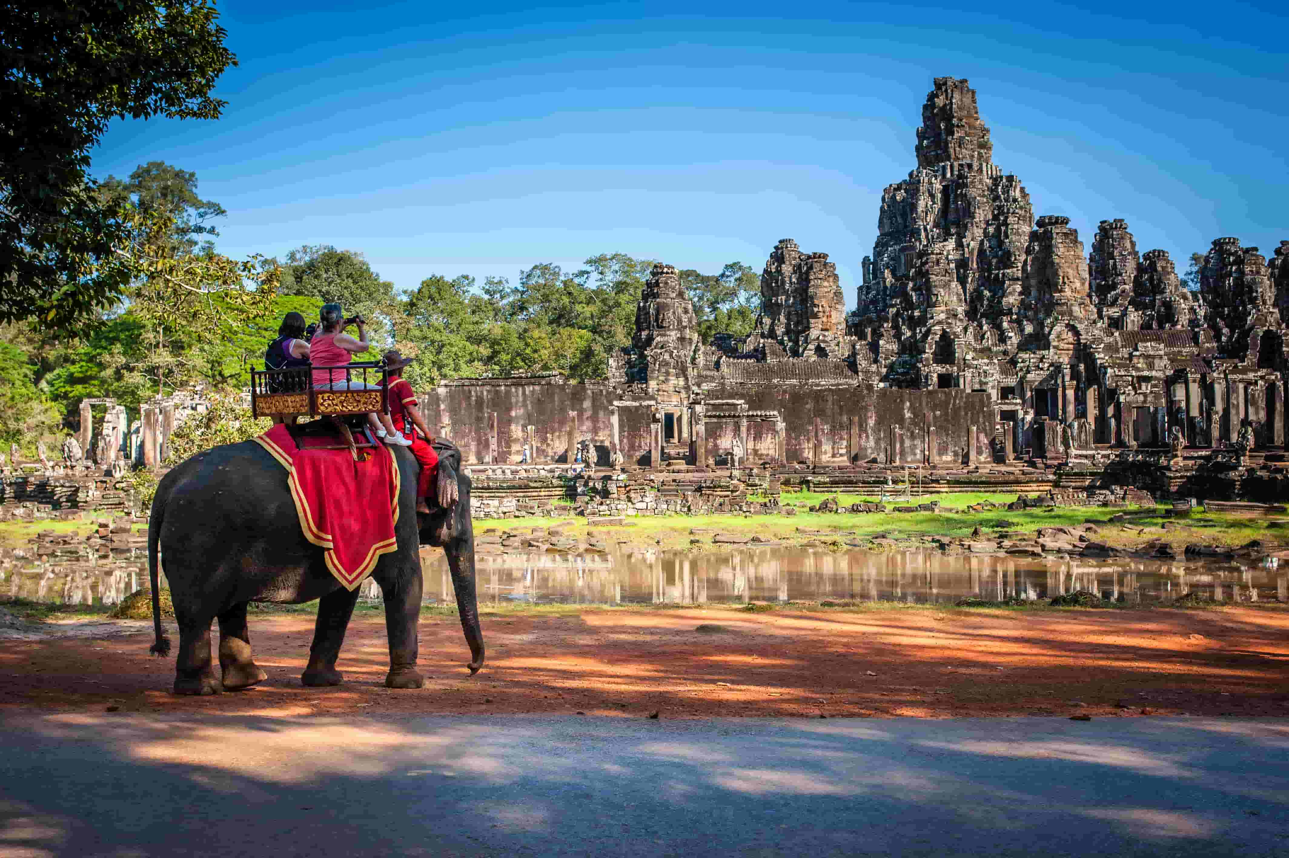 Elefanti tour vietati in Cambogia