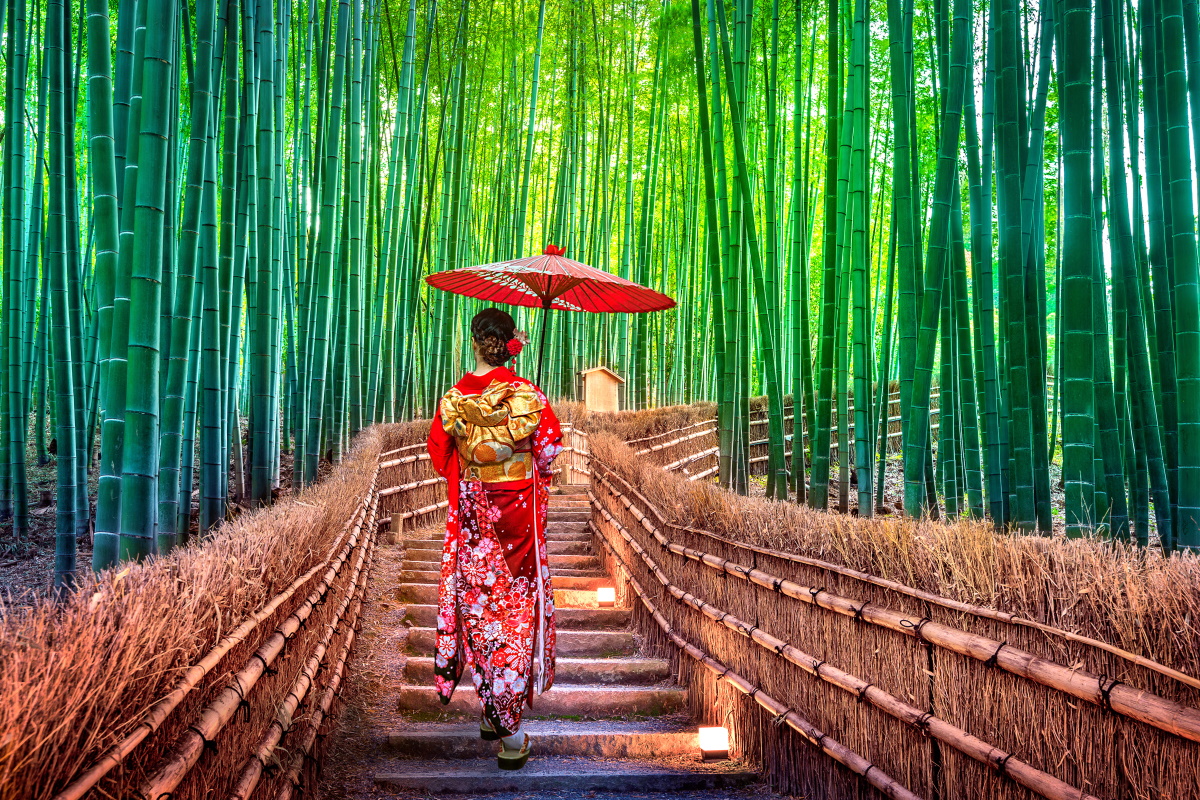 Organizzare un viaggio in Giappone: guida e consigli per una vacanza  memorabile - greenMe