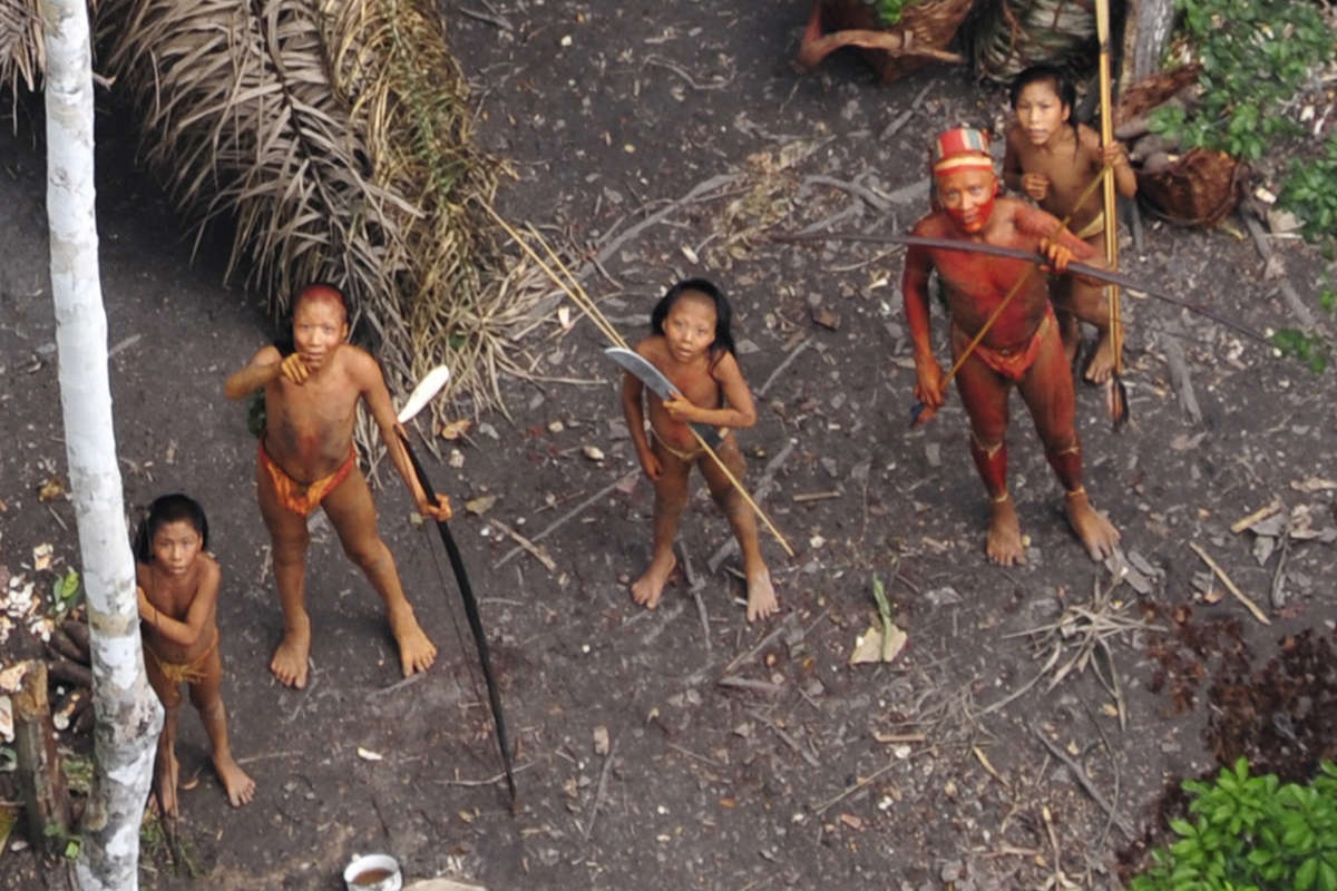 tribu indigene