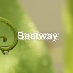 bestway