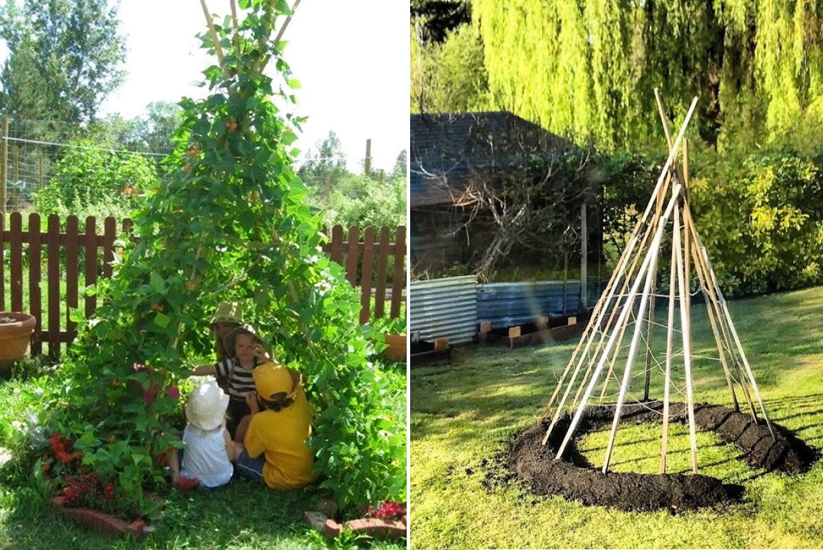Le persone stanno coltivando capanne magiche con i fagioli per i loro  bambini - greenMe