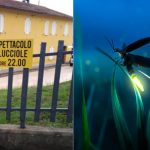 spettacolo-lucciole-sambucheto