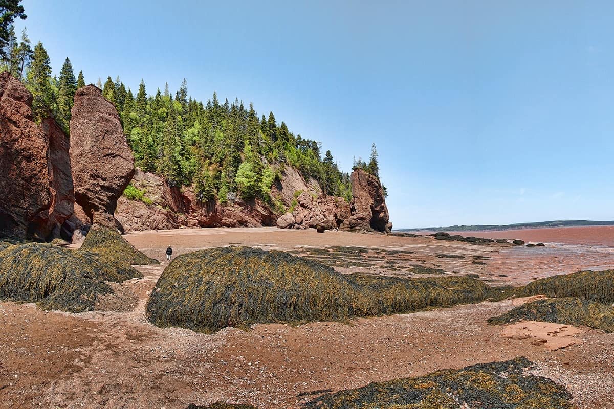 Baia di Fundy