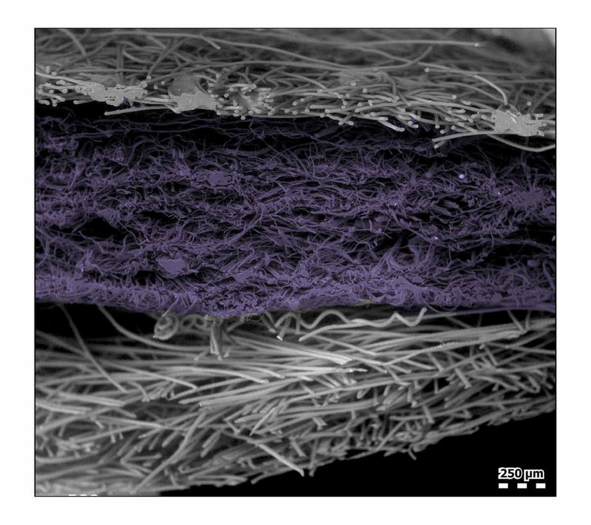 mascherina microscopio