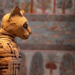 gatti ossessione macabra antichi egizi