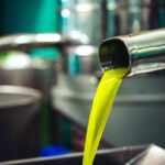 sequestro olio sofisticato clorofilla