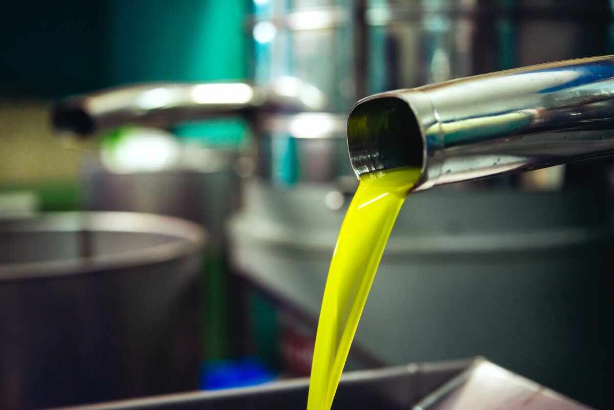 sequestro olio sofisticato clorofilla