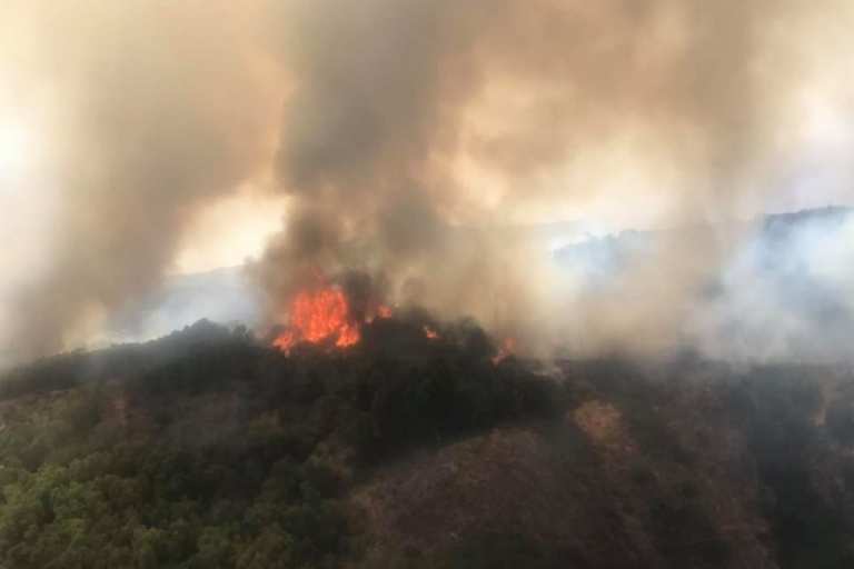 Incendi in Sardegna, un colpo al cuore - greenMe