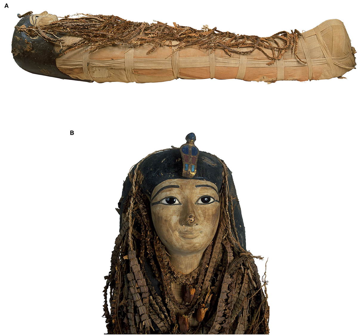 Amenhotep I faraone mummia