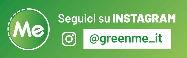 Seguici su Instagram