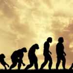 evoluzione scimmie