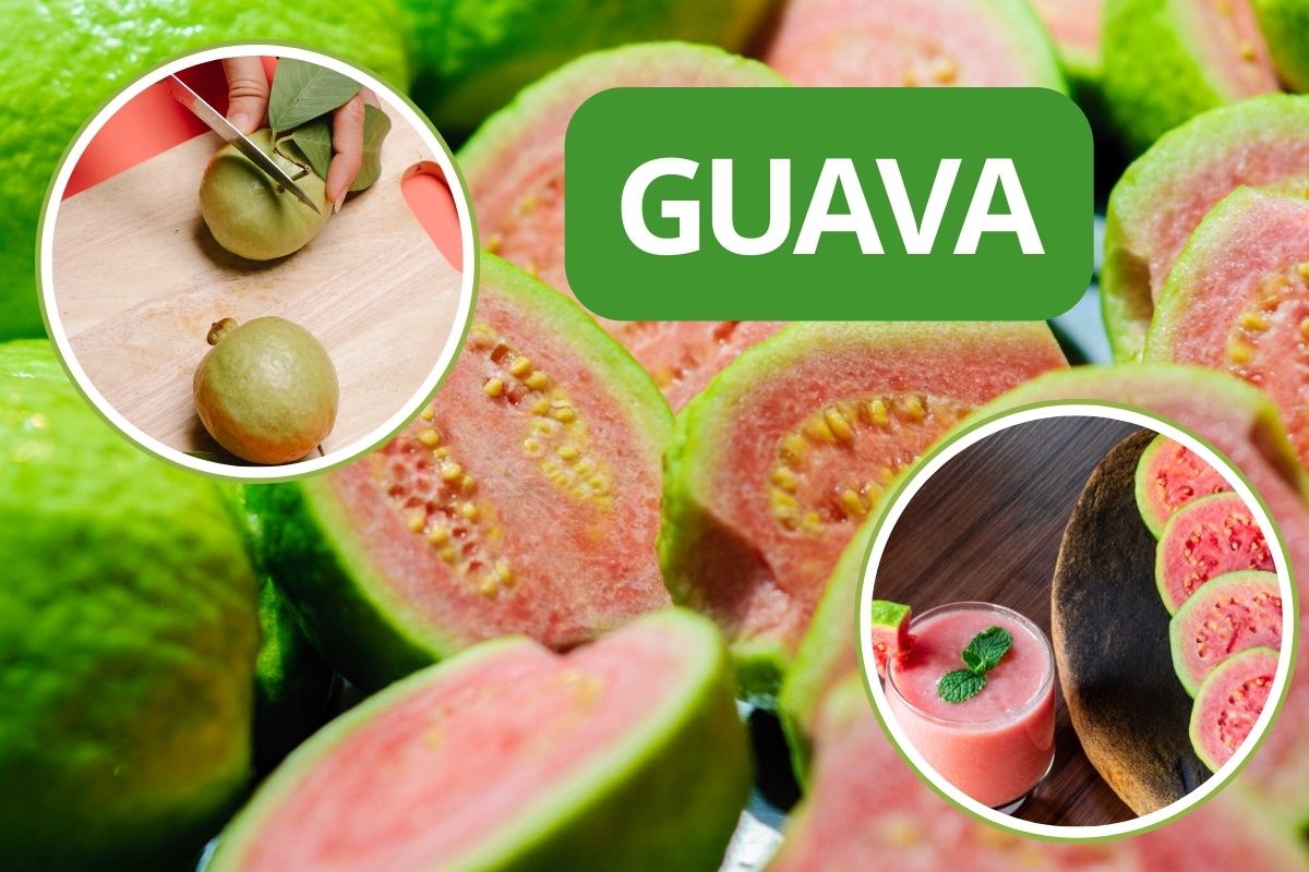 guava cover
