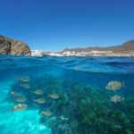 Spain,Coastal,Village,With,Fish,And,Seagrass,Underwater,,Mediterranean,Sea,