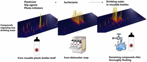 Nella tua borraccia riutilizzabile potrebbero esserci più batteri che sul  WC: lo studio shock - greenMe