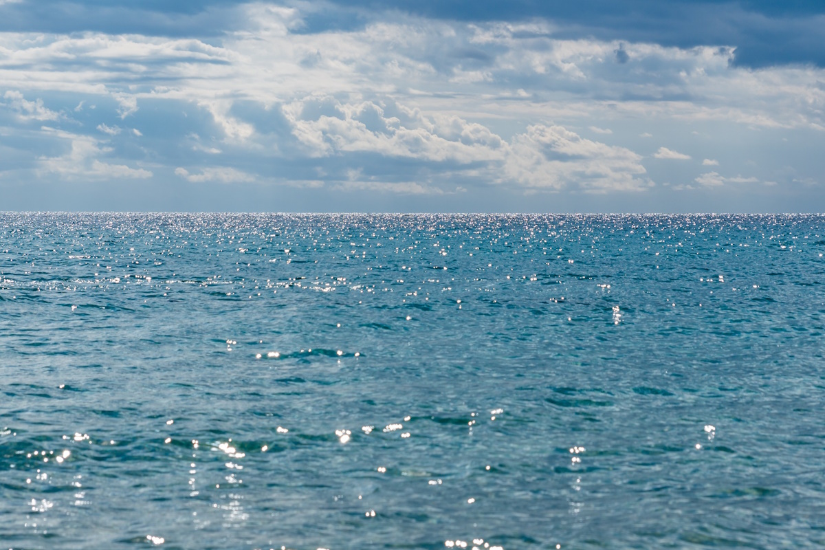 ondate di calore marino mar mediterraneo