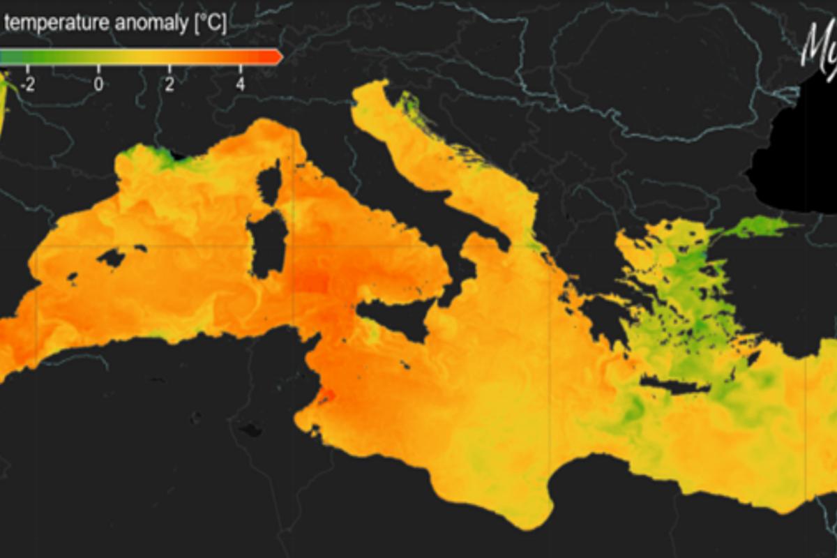 Appello cambiamenti climatici