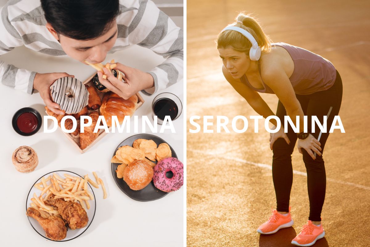 dopamina serotonina