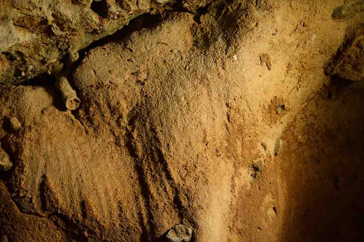 La Roche-Cotard - arte dei Neanderthal