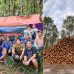 Malesia lotta legno