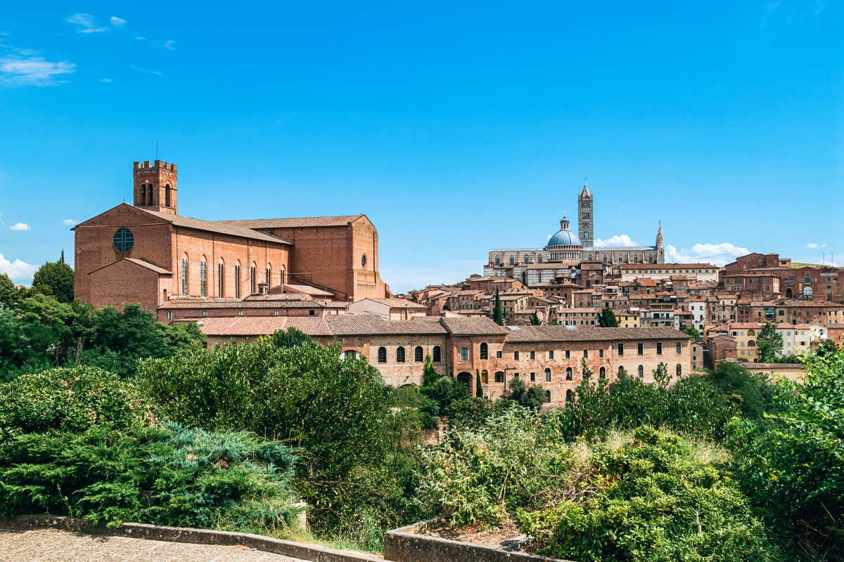 siena