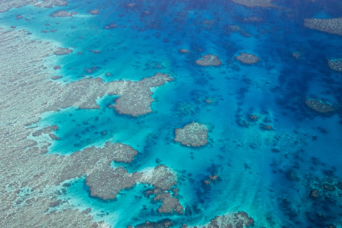 barriere coralline più lunghe del previsto