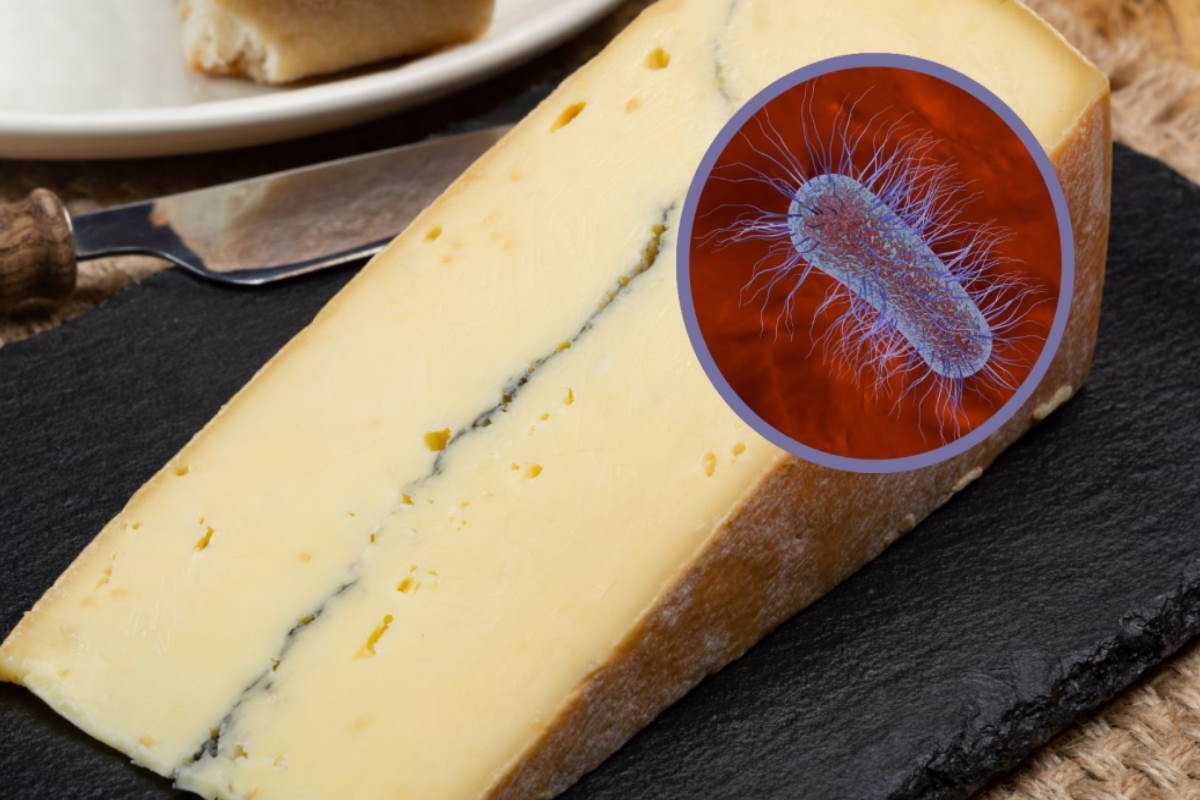 formaggio francese e.coli