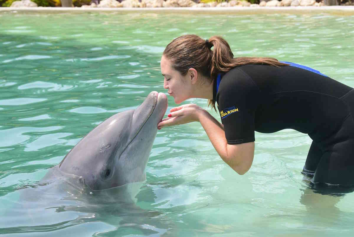 delfini parco Florida