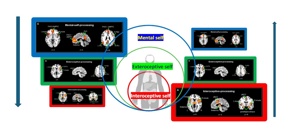 Trauma relacional