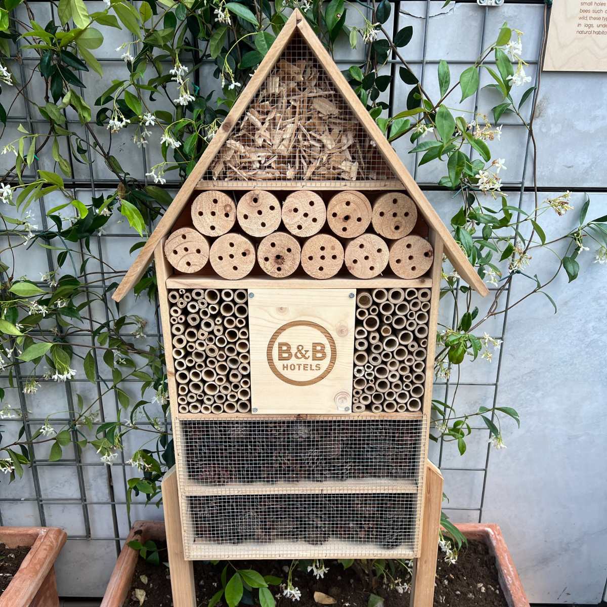 casette per le api