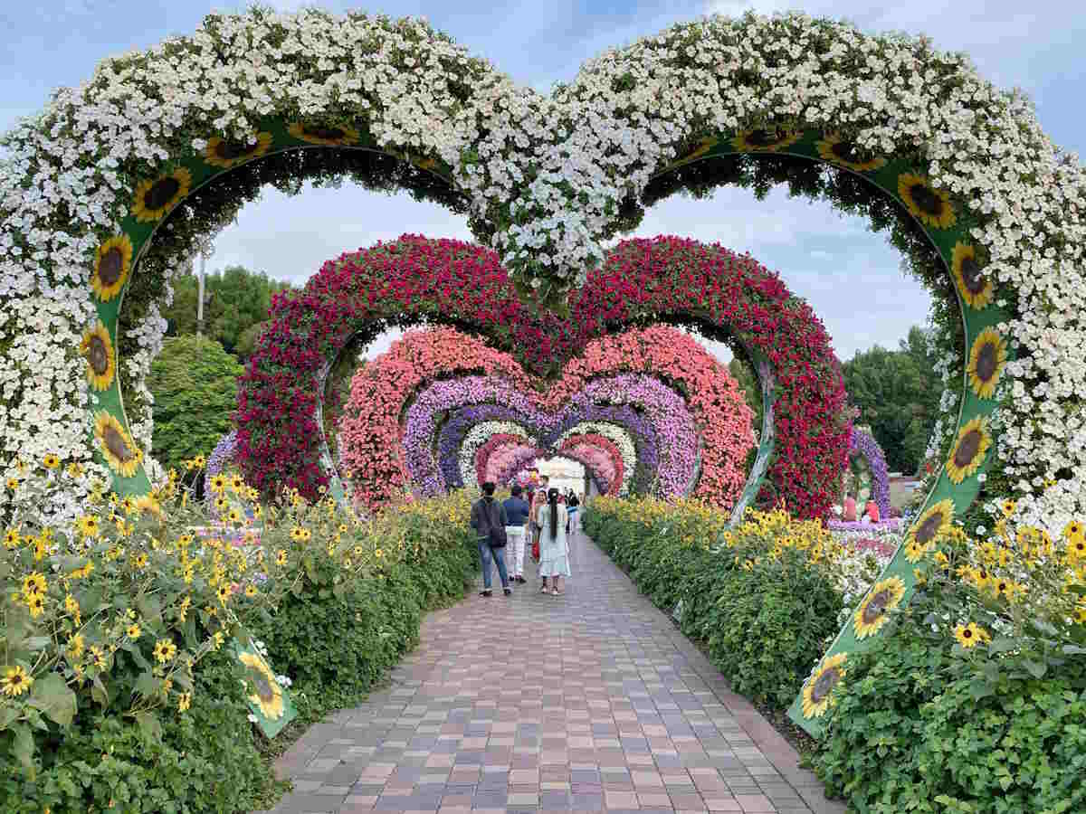 dubai miracle garden 2