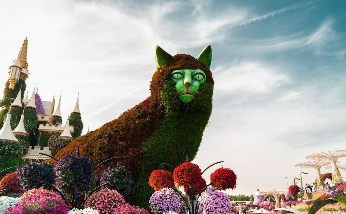 dubai miracle garden 3