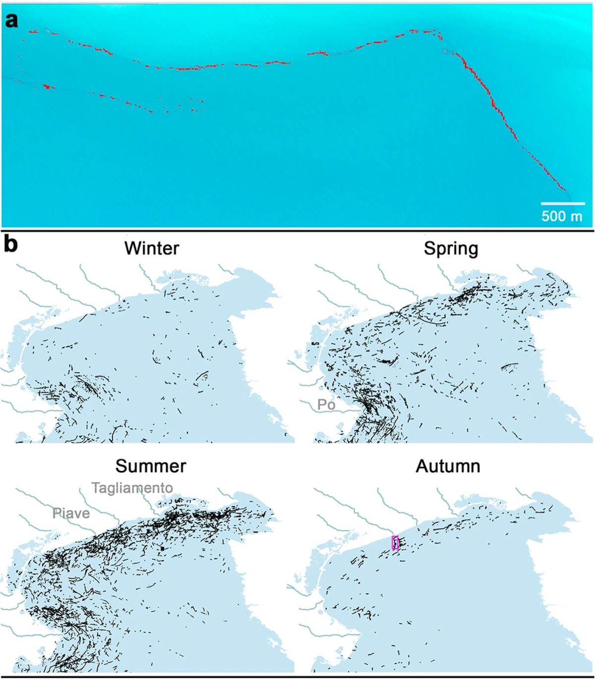 strisce rifiuti nel mediterraneo mappa satelliti