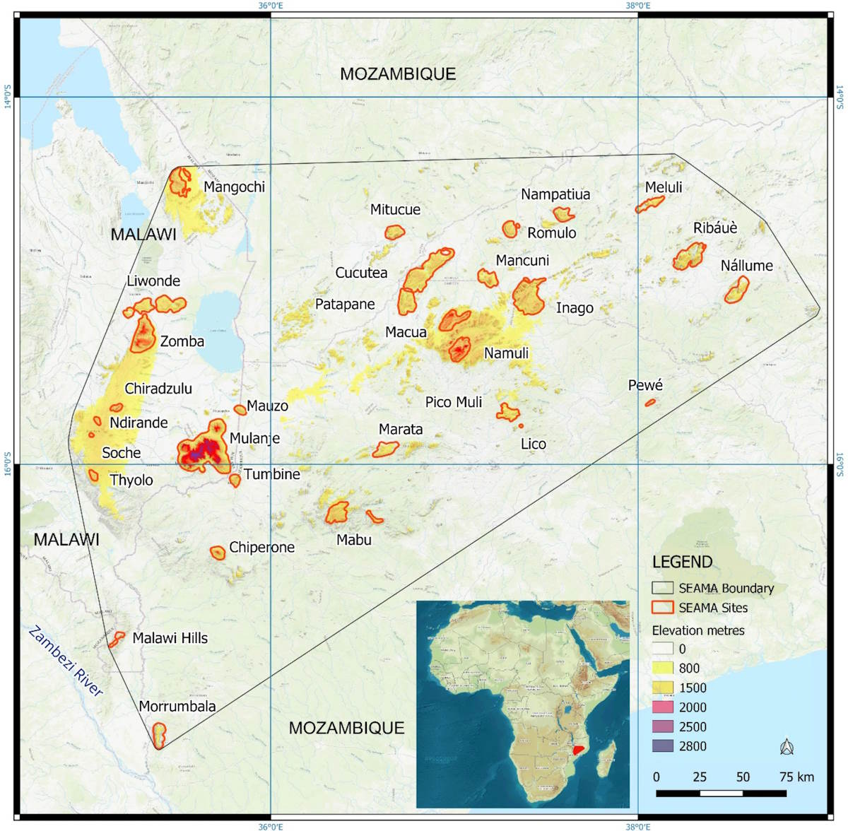 nuove specie ecoregione africa