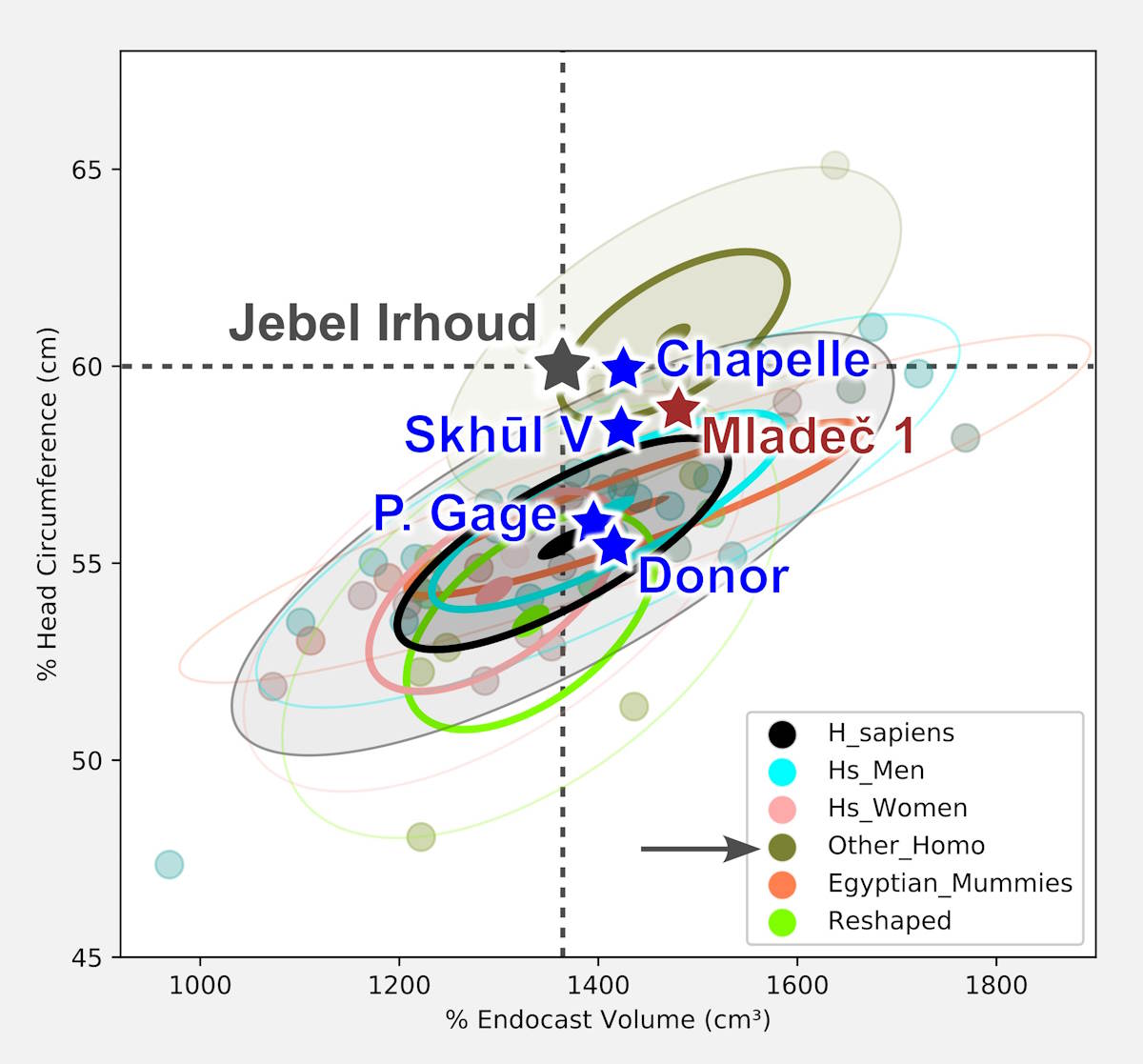 Jebel Ihhoud primo Homo Sapiens volto ricostruito