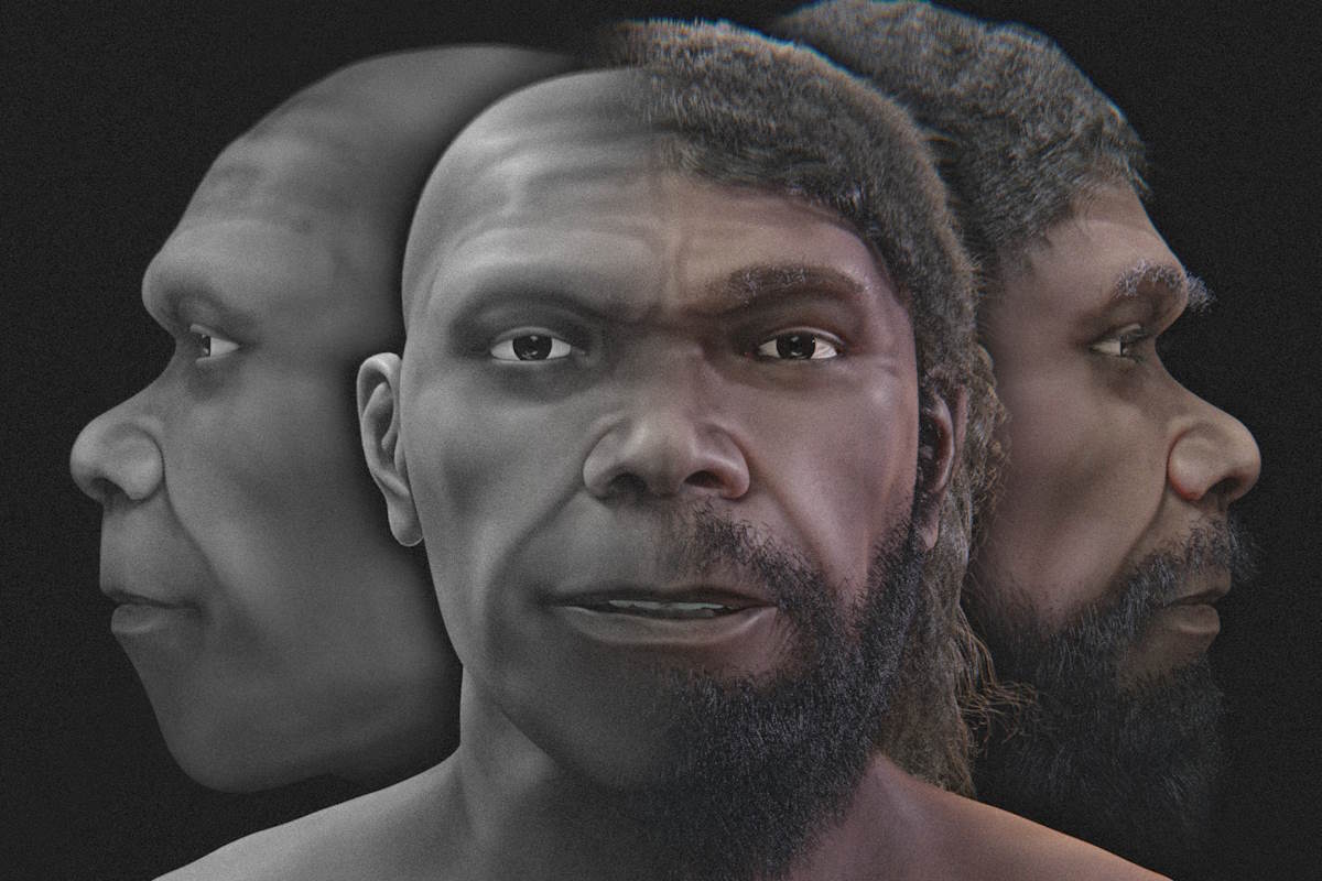 Jebel Ihhoud primo Homo Sapiens volto ricostruito