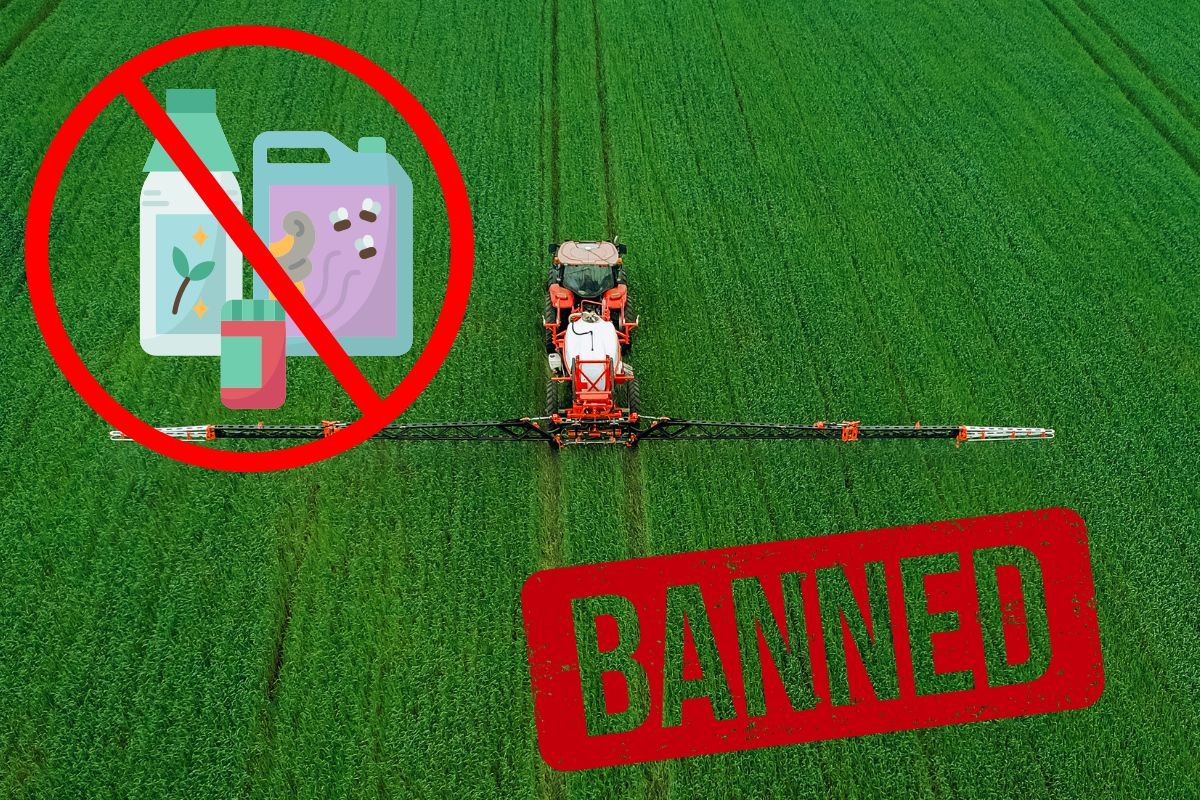 Pesticidi Ue