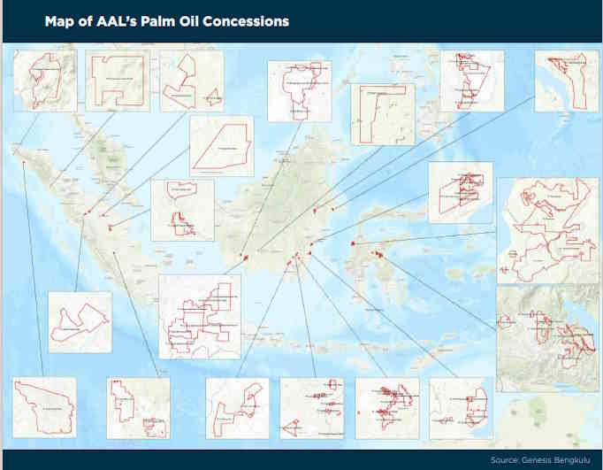 mappa olio di palma indonesia