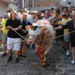 processione vitello roccavaldina