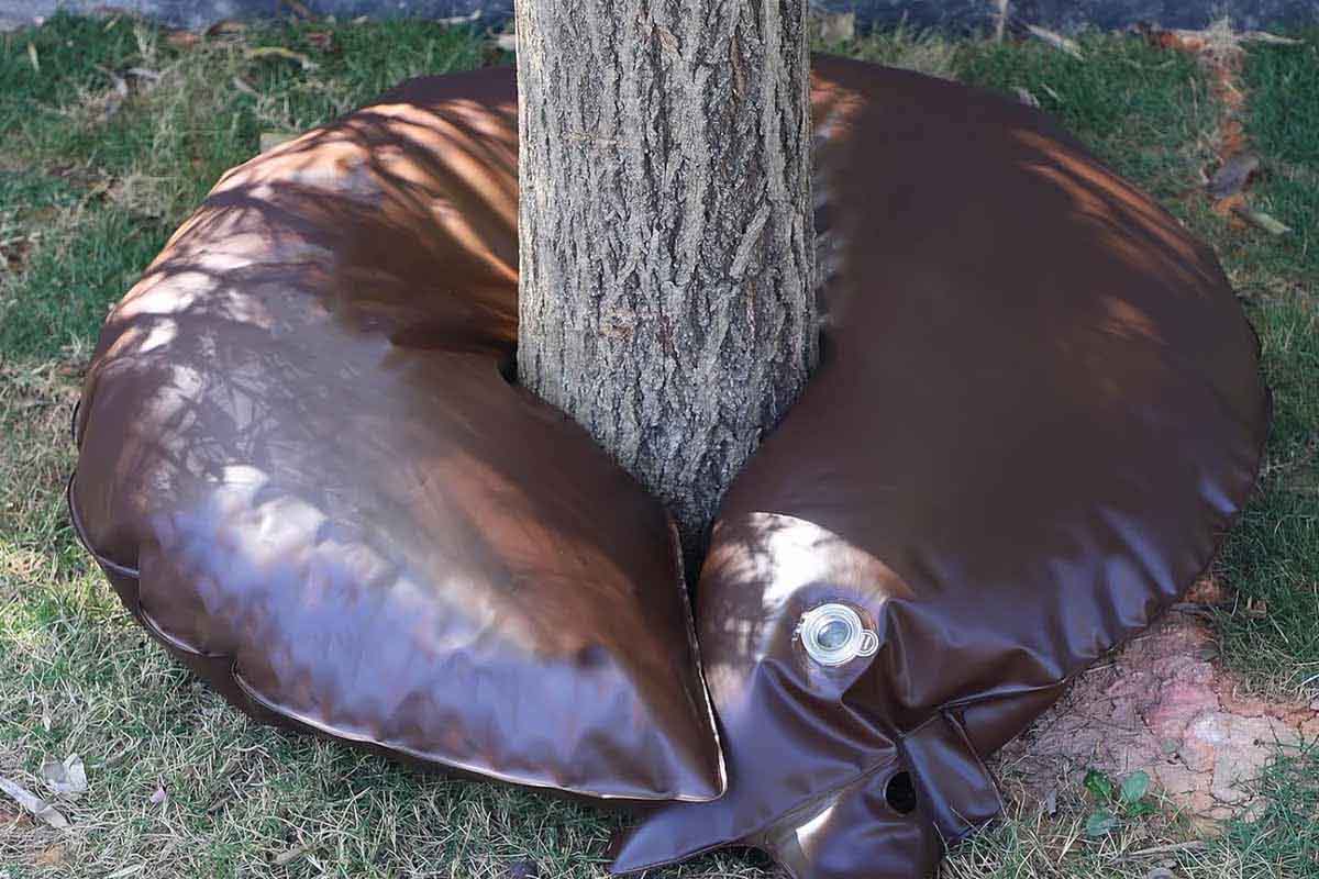 Baumbad invenzione di un anello di irrigazione