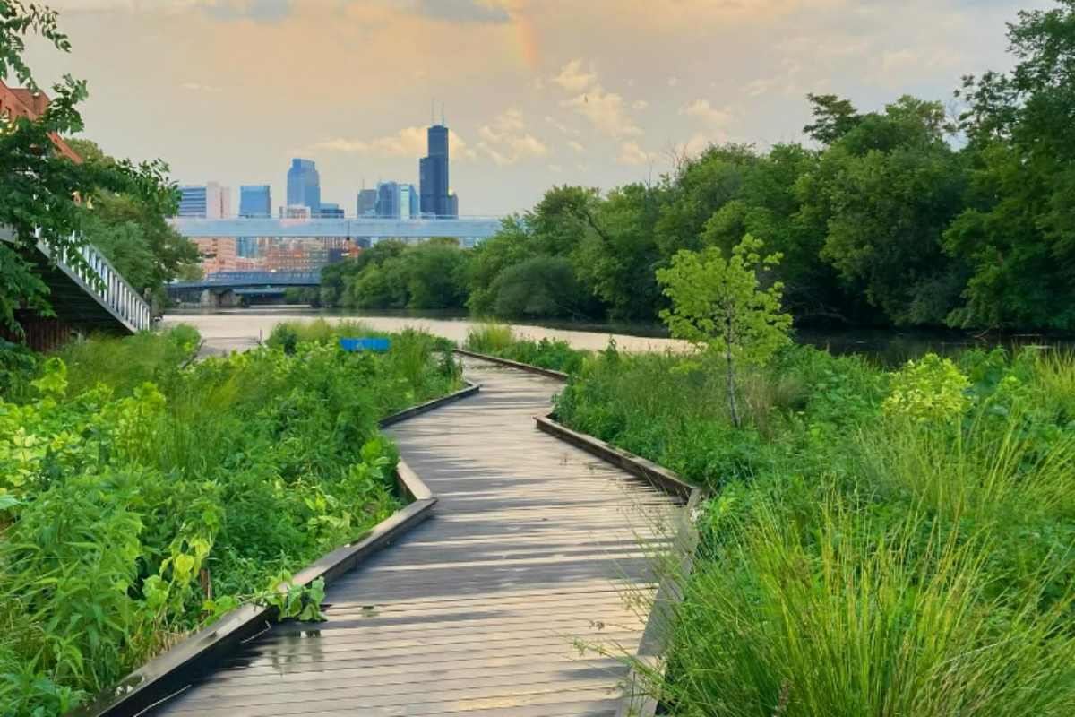 Chicago Urban River